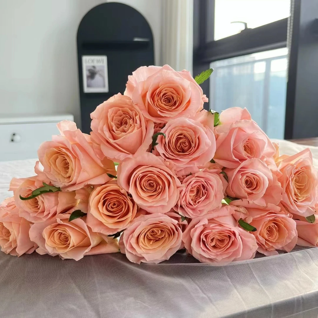 【植迷不误】微光玫瑰 居家 花束 插花 云南鲜花 基地包邮直发