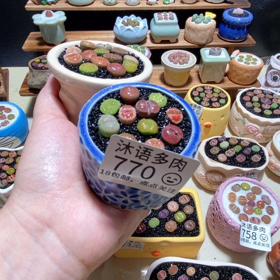 所见即所得 一物一拍770