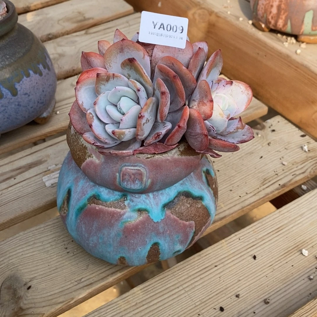 粗砂花盆臭****YA009已配已配