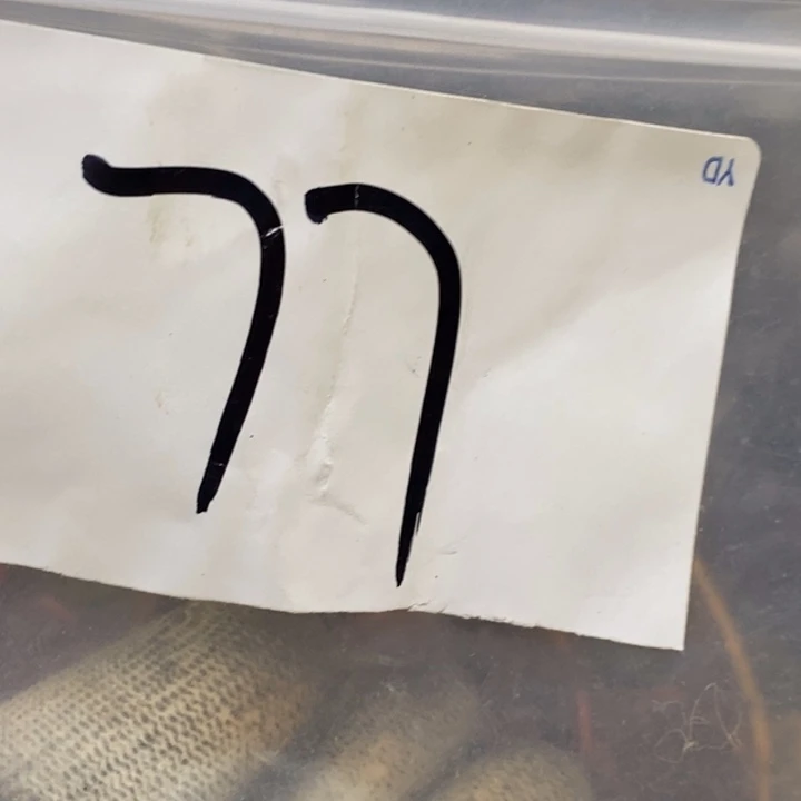 0***℃娜娜文玩杂项专属链接