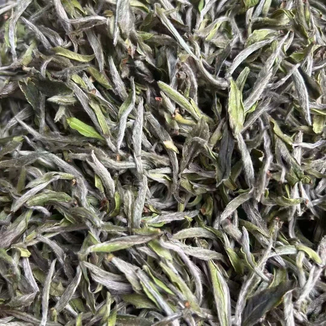 牡丹王——2024年明前牡丹王白茶毫香蜜韵花香