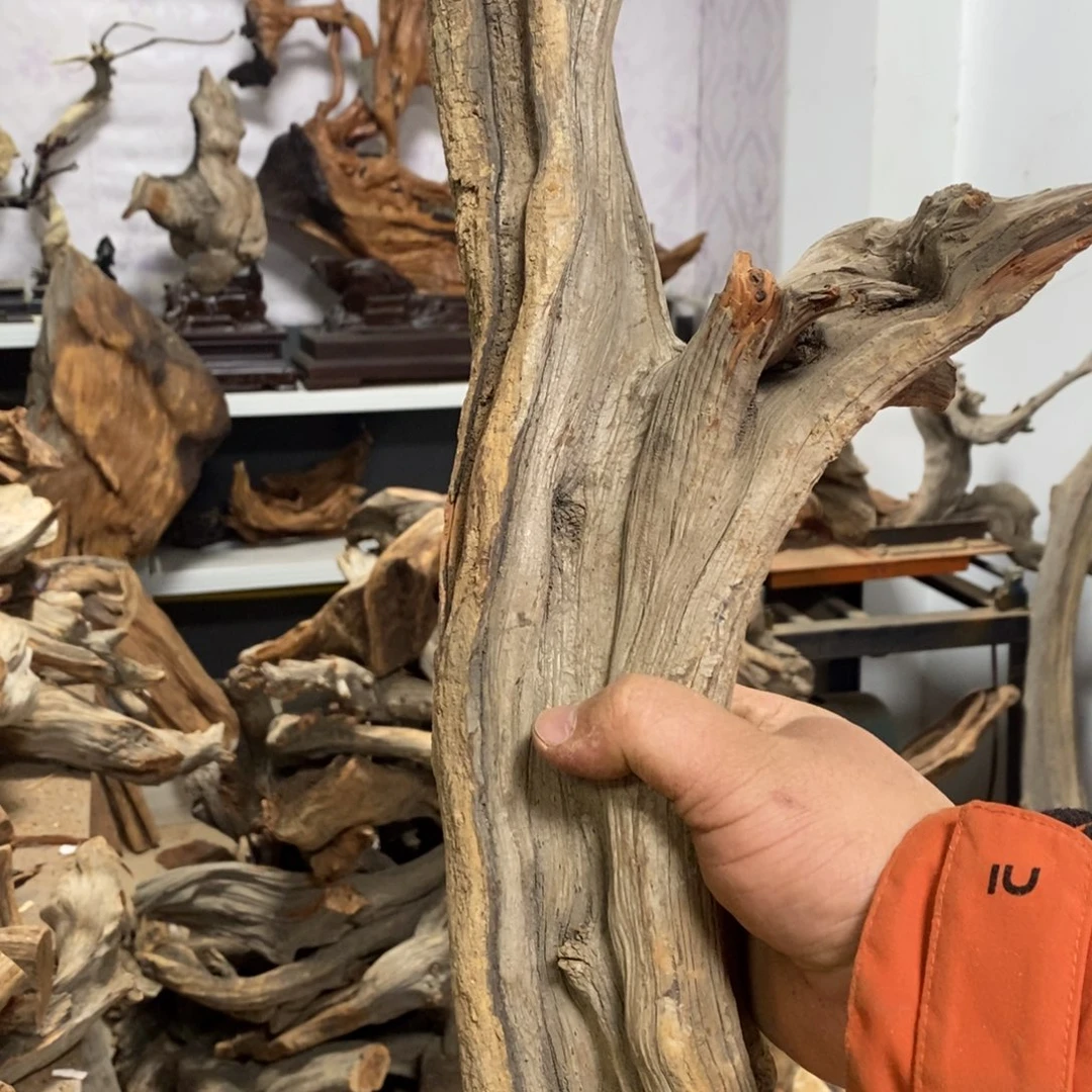 柏木人***，我们都是好孩子