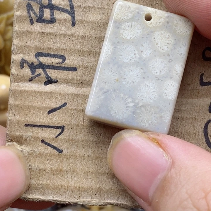 颈饰未镶嵌硅化珊瑚（珊瑚玉）九***天