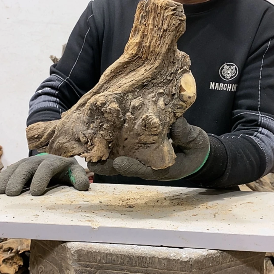 【闪购商品】柏木木*石我们都是好孩子