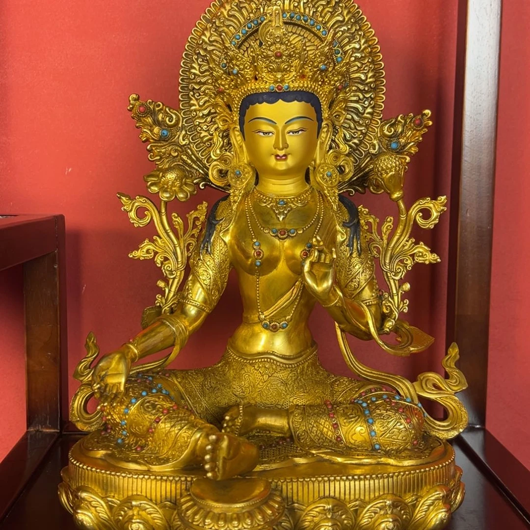 用***0铜111111111111111