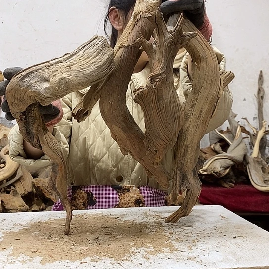 白***牛柏木我们都是好孩子