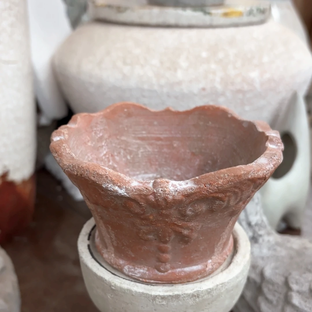 许纯的花房 福利小盆