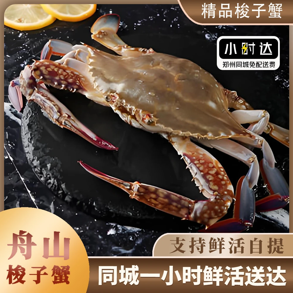 【金葉甄选】鲜活舟山野生  梭子蟹3-5两/只 99/三斤 120/四斤【保鲜不保活】