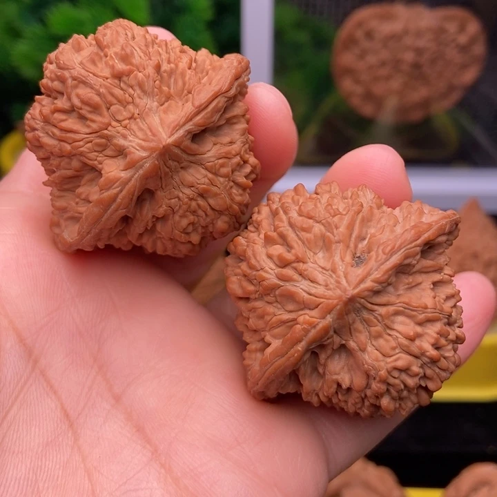 吊坠文玩核桃满天星44全品