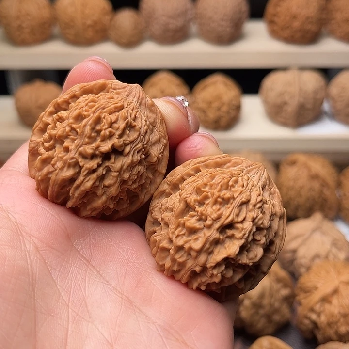 核桃36全品满天星