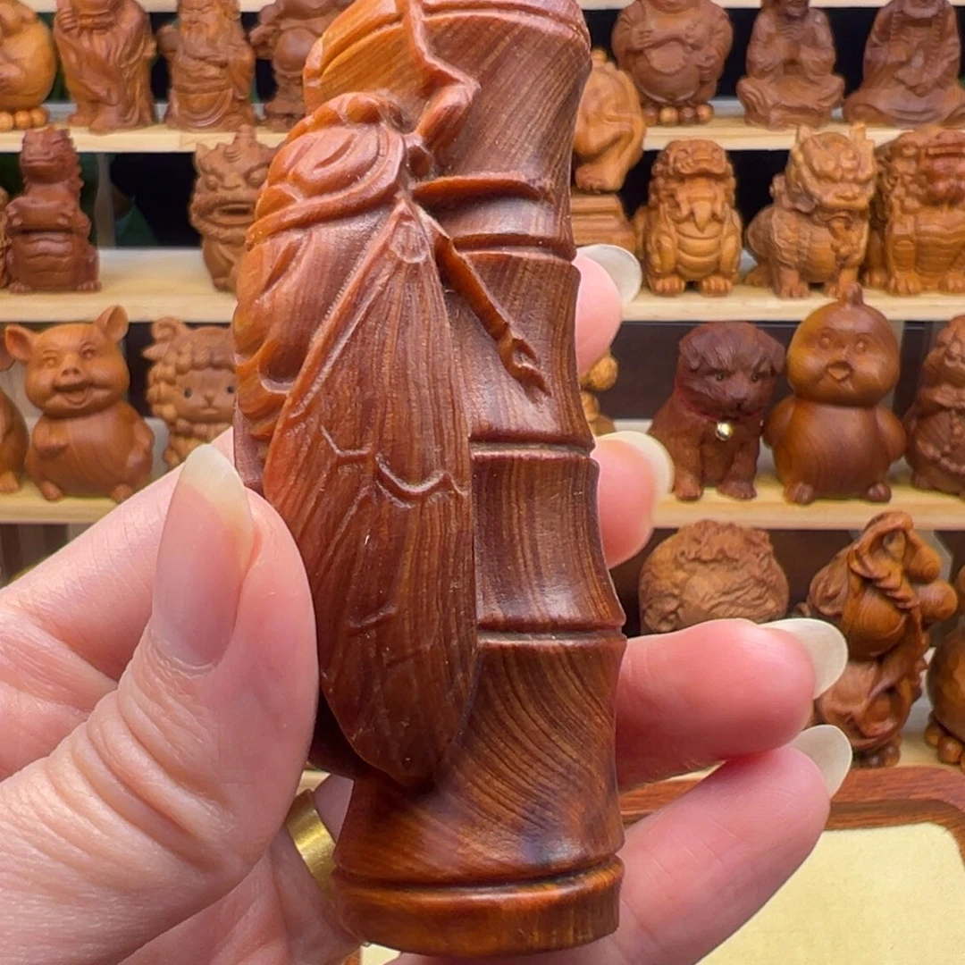 星***外崖柏太行崖柏一鸣惊人