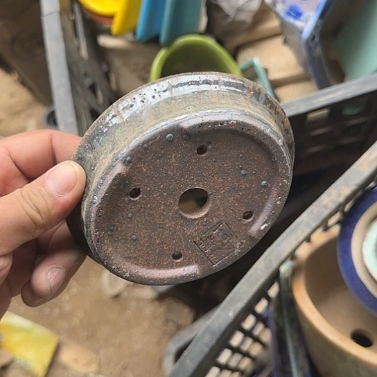 我是第十二次看到这种人出现吗你