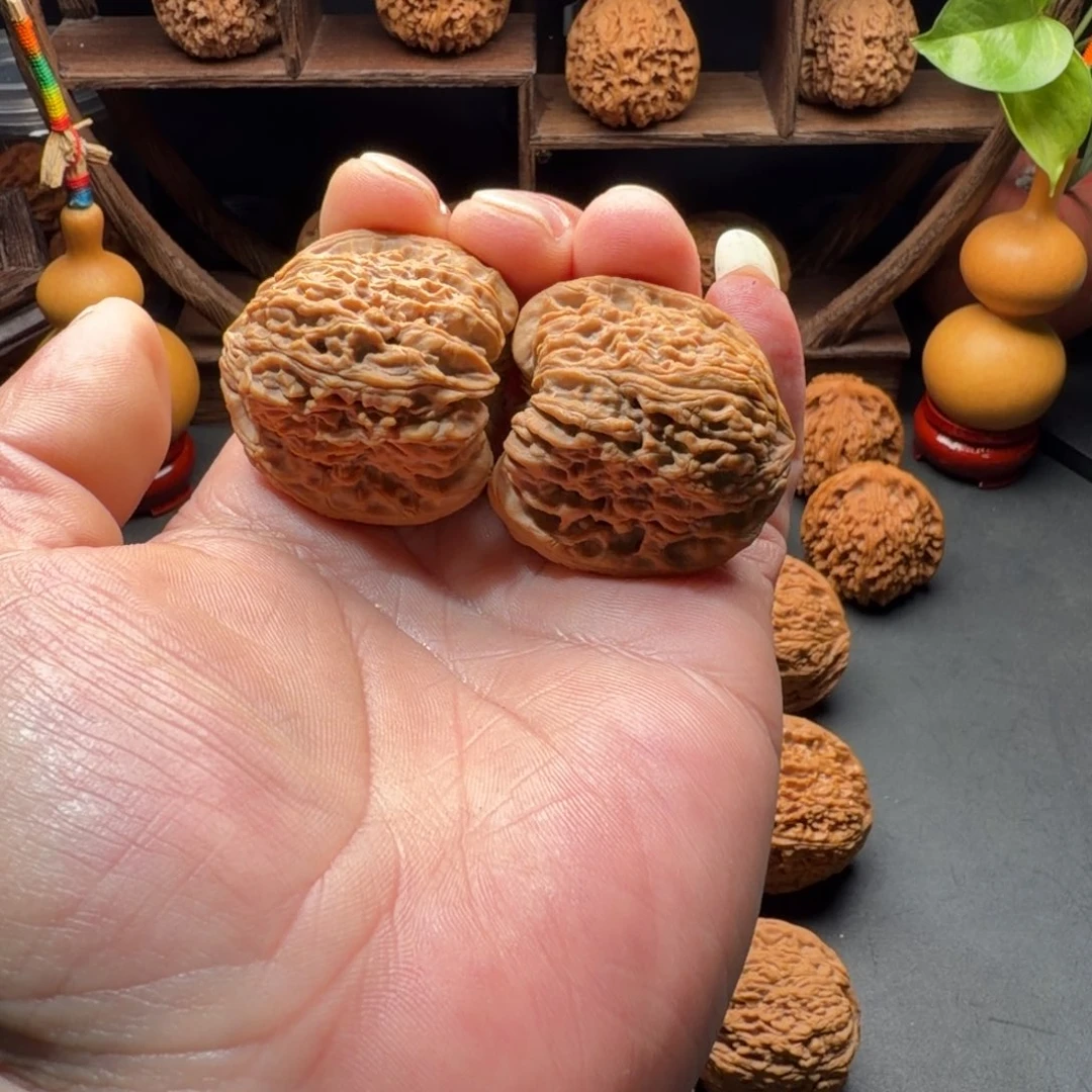 把件文玩核桃南疆石村疆一代老树果拉丝凹底丑南疆尺寸40