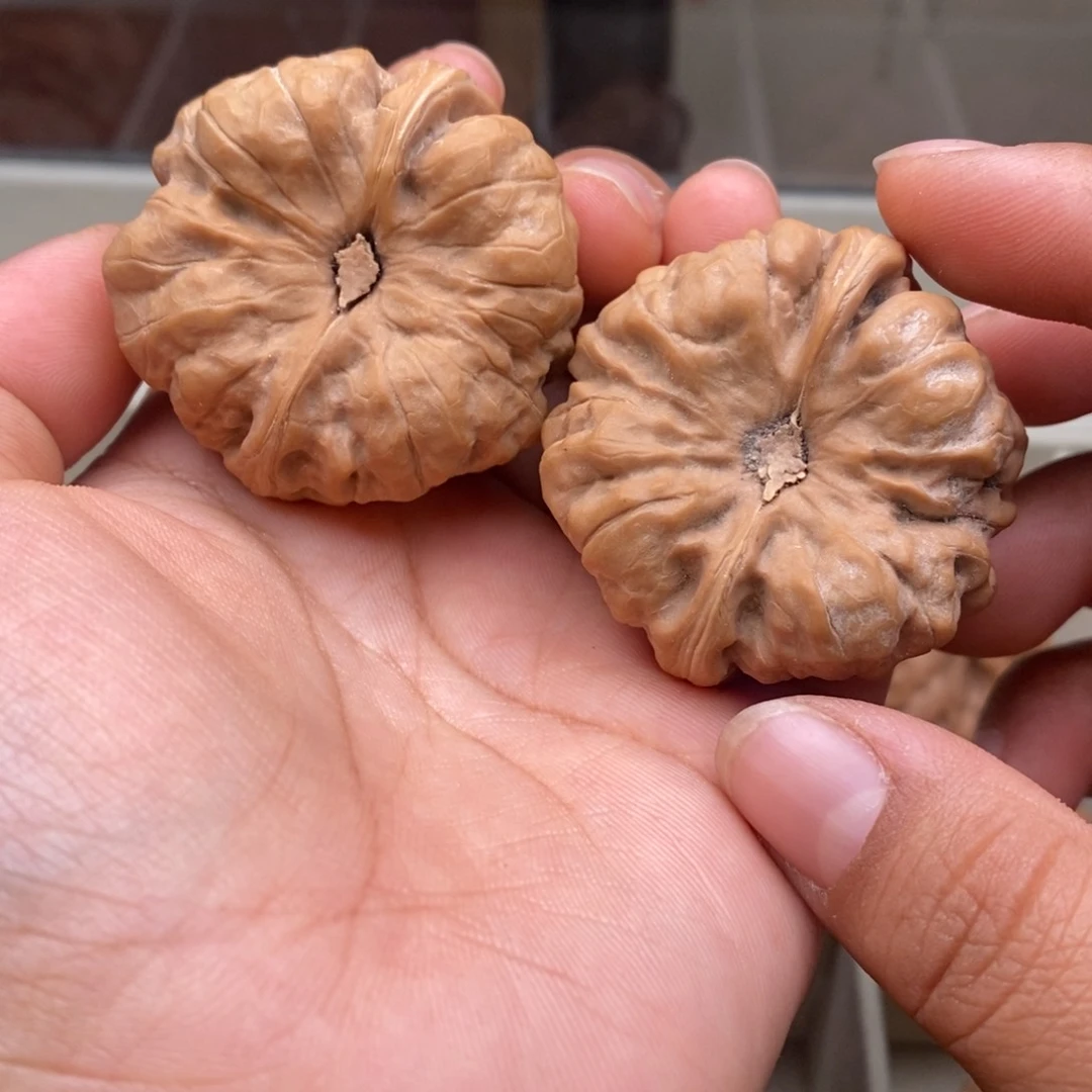 文玩核桃把件41蛤蟆头