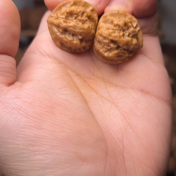 文玩核桃吊坠蝴蝶