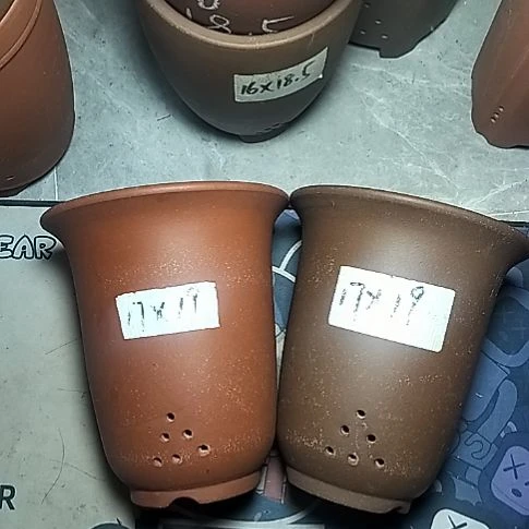 红泥紫泥小金钟两个花盆