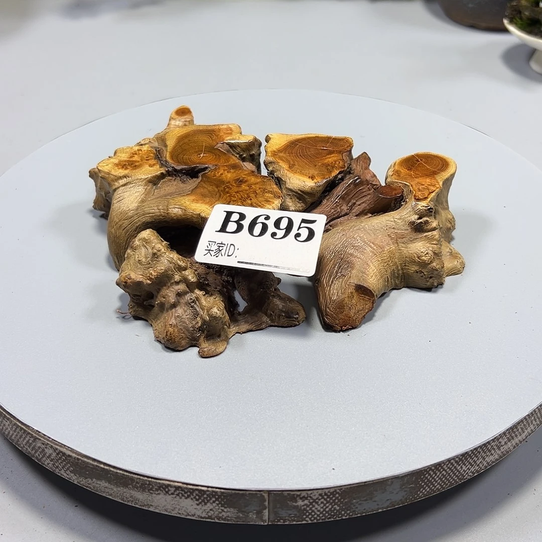 大果紫檀（缅甸花梨）j*