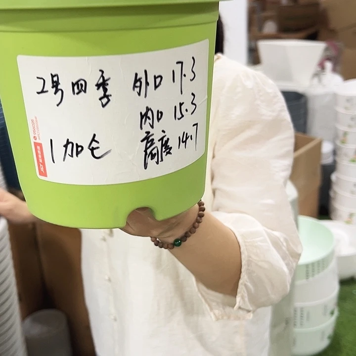 特价2号四季盆口17高14.5混色无托10只