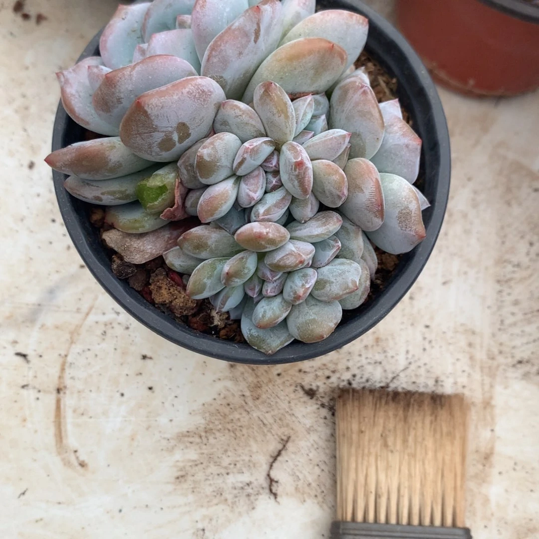 哈哈哈哈哈哈哈哈