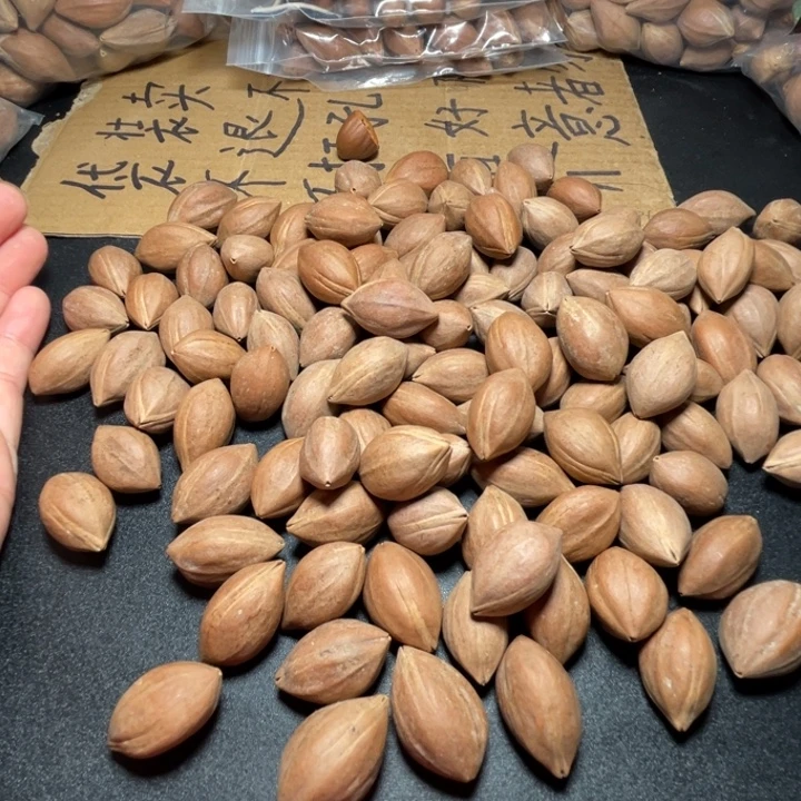 d***d猪牙手串/手链我是