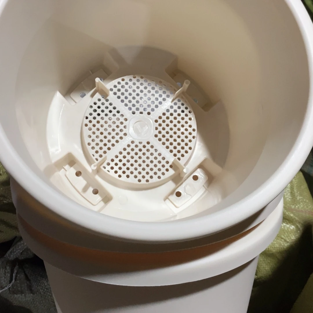 3个32口米色圆球根无托