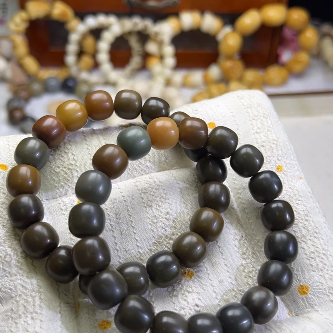 菩提根/象牙果吊坠魔法森林卡13