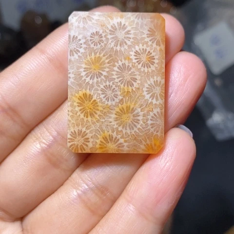 【闪购商品】硅化玉吊坠(不含链)未镶嵌