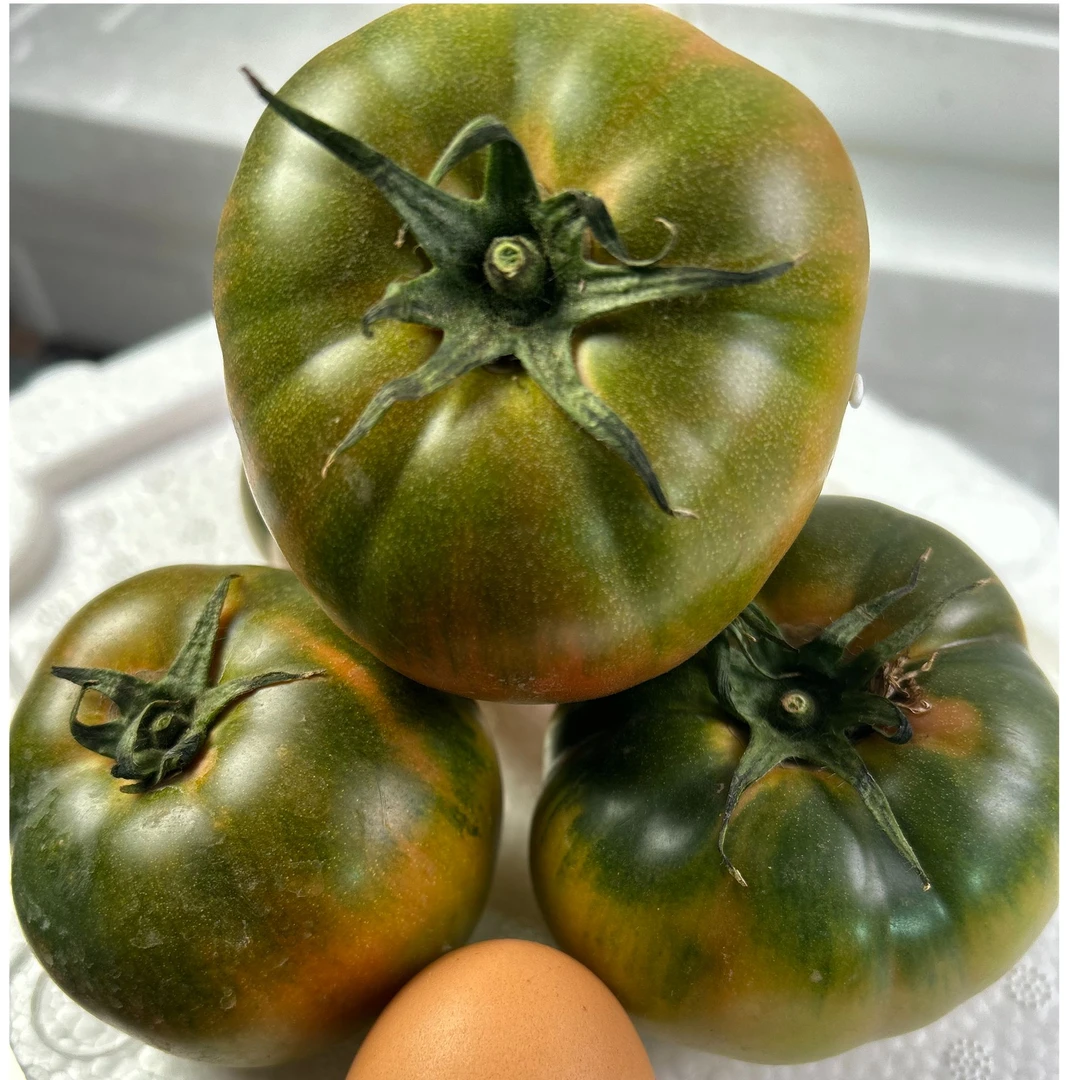 草莓西红柿番茄4斤精品中大果基地直发顺丰包邮