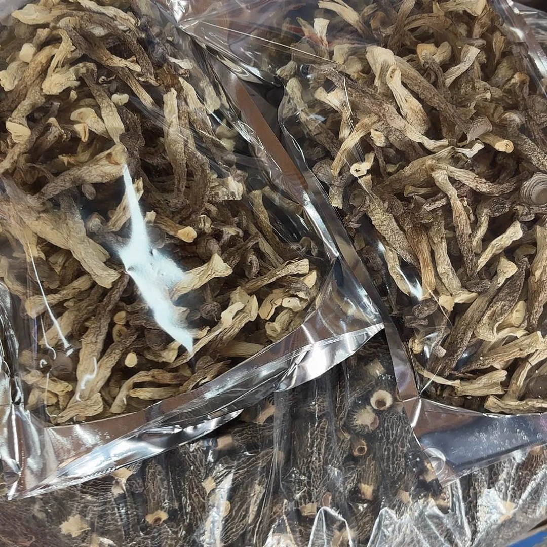 甜***儿云南南华野生菌中国大陆