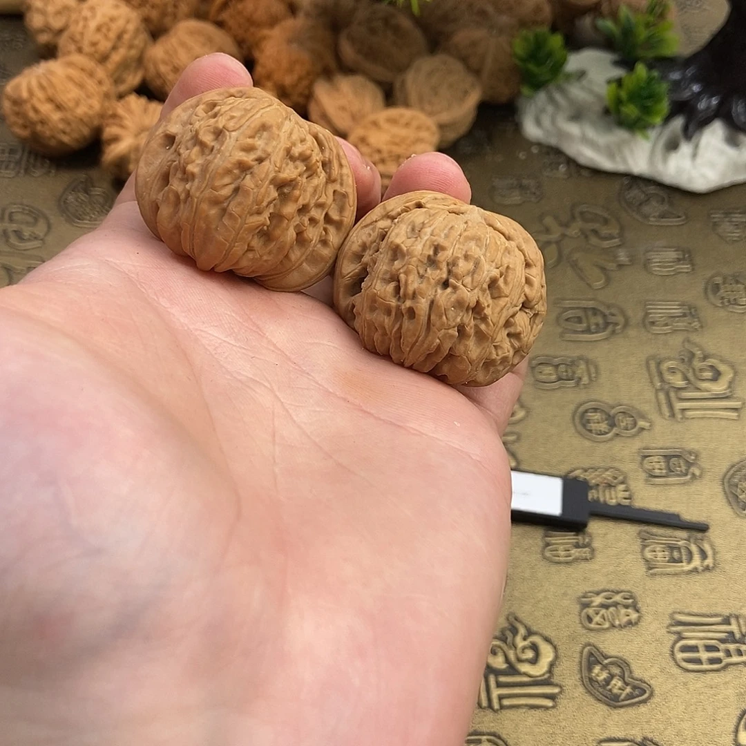 核桃闷尖白狮子38尺寸编号885全品无修皮质好上色快