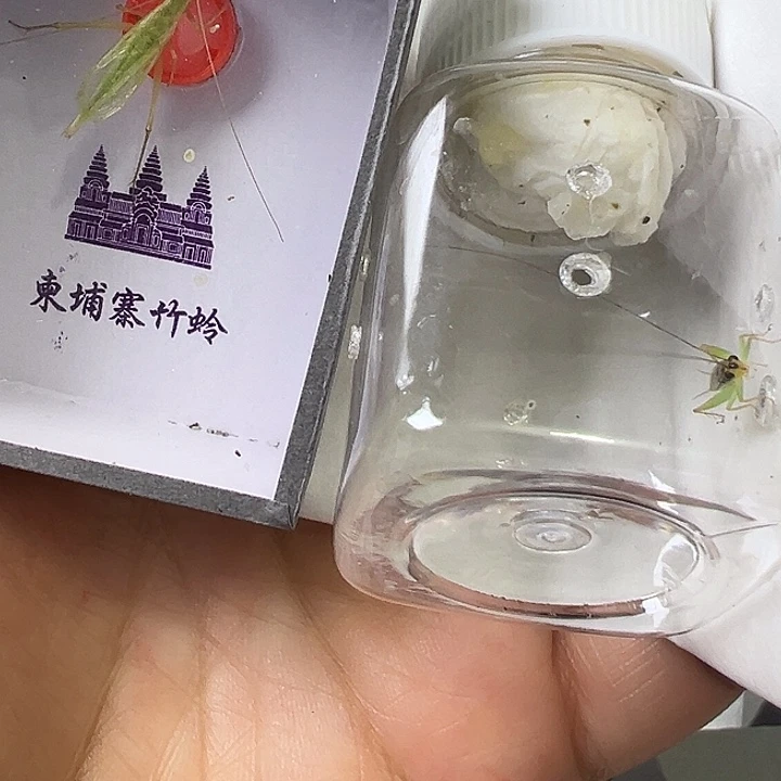 哈哈哈哈哈哈哈哈哈