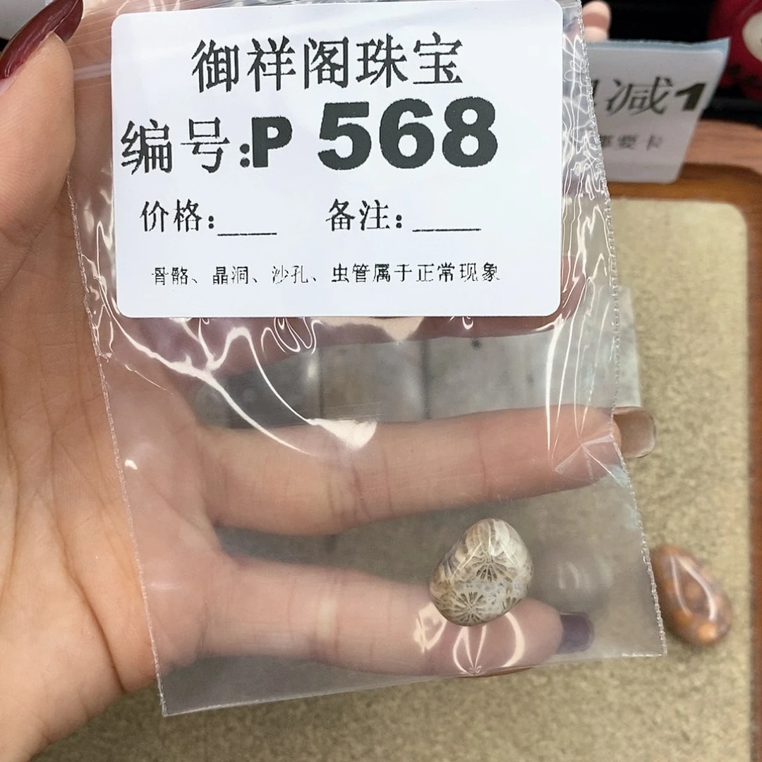 硅化珊瑚（珊瑚玉）P未镶嵌木*