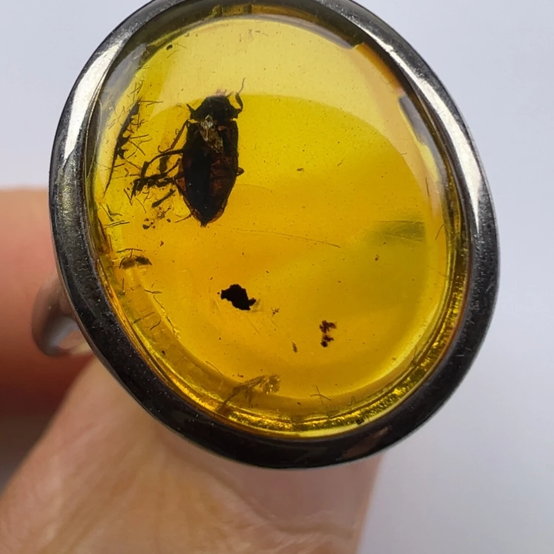 琥珀未镶嵌裸石琥珀虫色