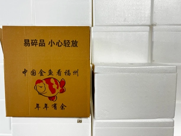 兰寿顺丰到付包装费（必拍）发货不退款