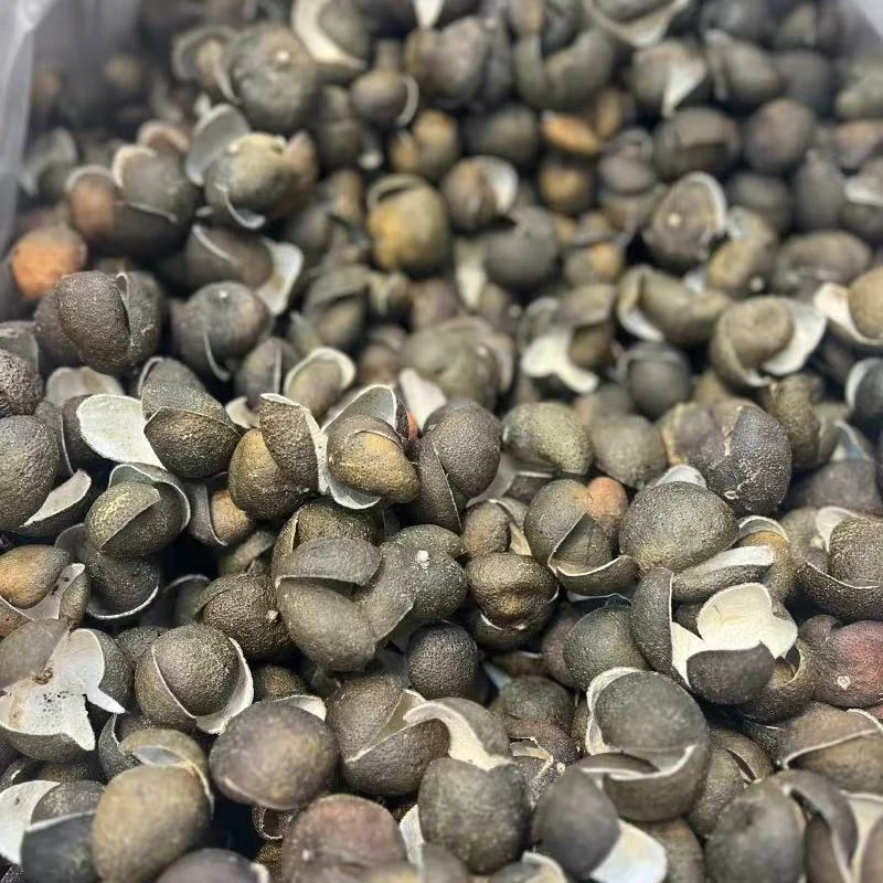 【7月7日】2020年圭峰柑-产品以直播间为准