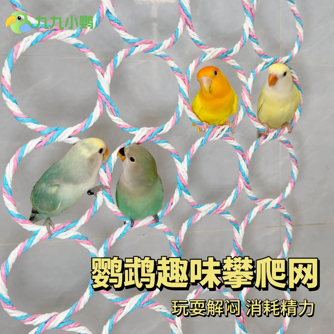 九九鹦鹉圆圈站架桌面互动玄凤虎皮牡丹专用弯曲玩具解闷训练