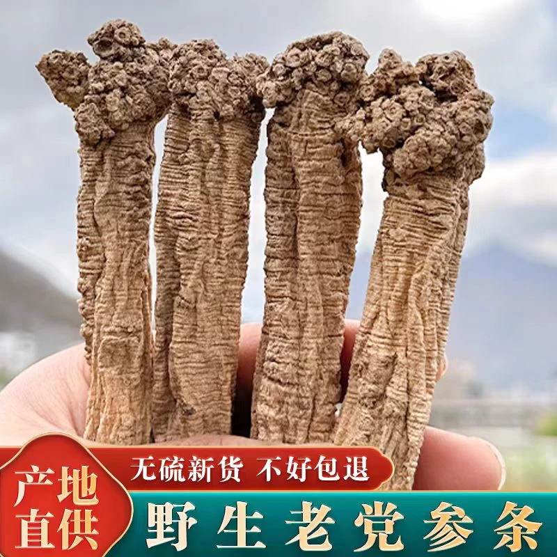 甘肃岷县天然无硫党参大条整根可煲汤泡水干货黄芪