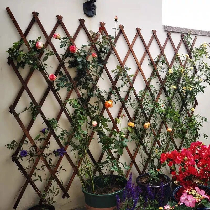 户外网格花架绿植爬藤架花园阳台庭院碳化伸缩拉网木栅栏围栏篱笆