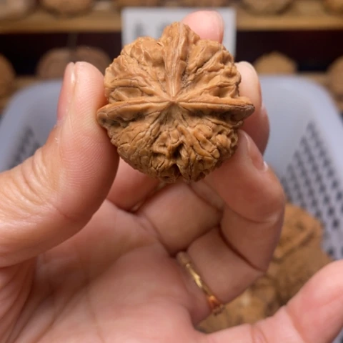 快***恼把件文玩核桃核桃