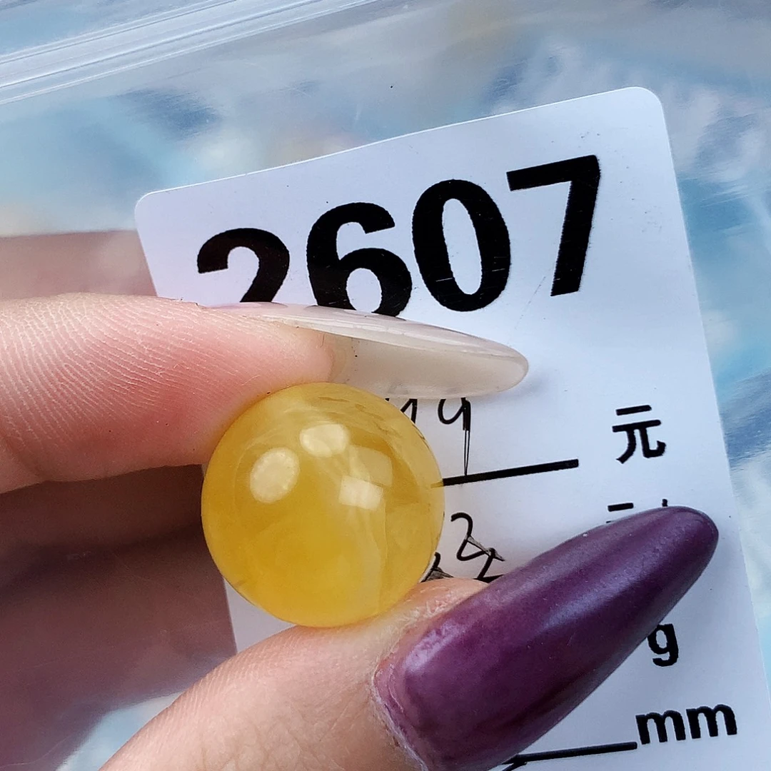 琥珀未镶嵌珠宝奇石17.5植物