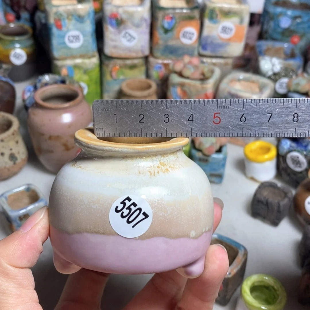 拍5送一个小礼物
