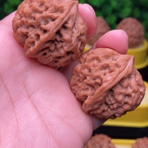 太行龙纹38全品11111111