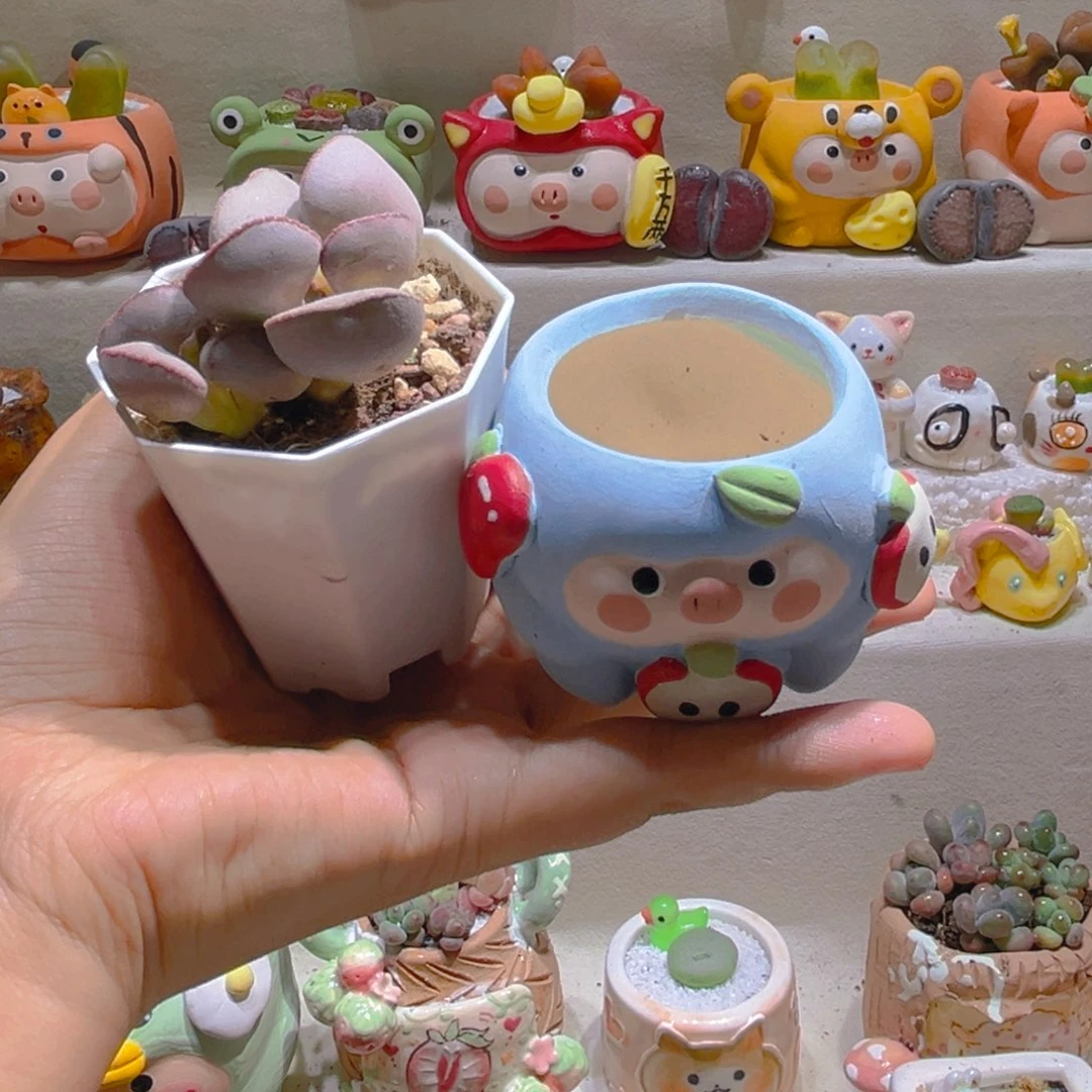 斐*斐斐宝宝专属链接拍拍