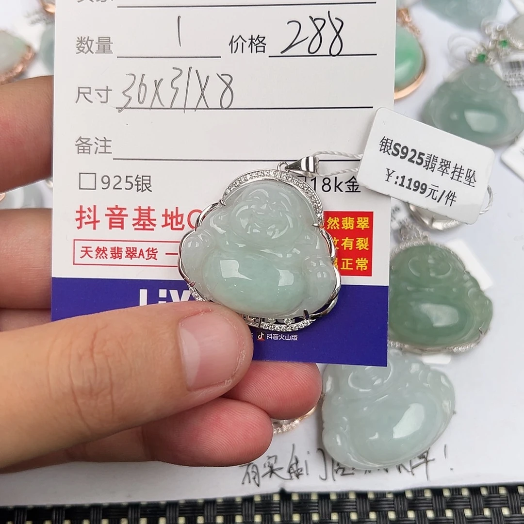 小***敏翡翠银S925镶嵌颈饰
