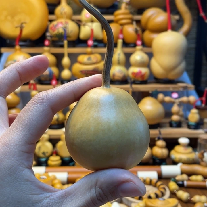 用****4天然葫芦自然生长用户9194