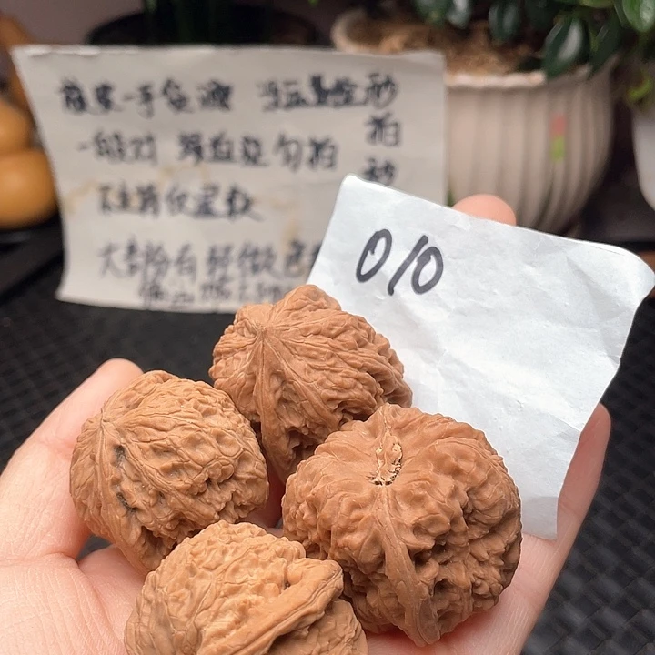 平***生2对练手对凹底+小白狮子