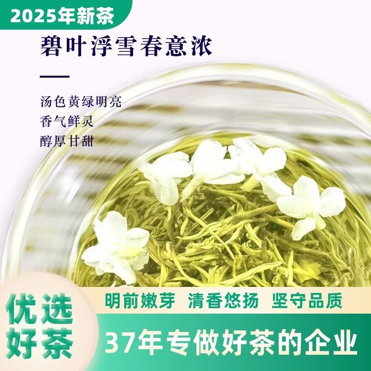 茉莉花茶新茶四川雅安飘雪茉莉花茶浓香春茶飘雪冷泡茶叶送礼自喝