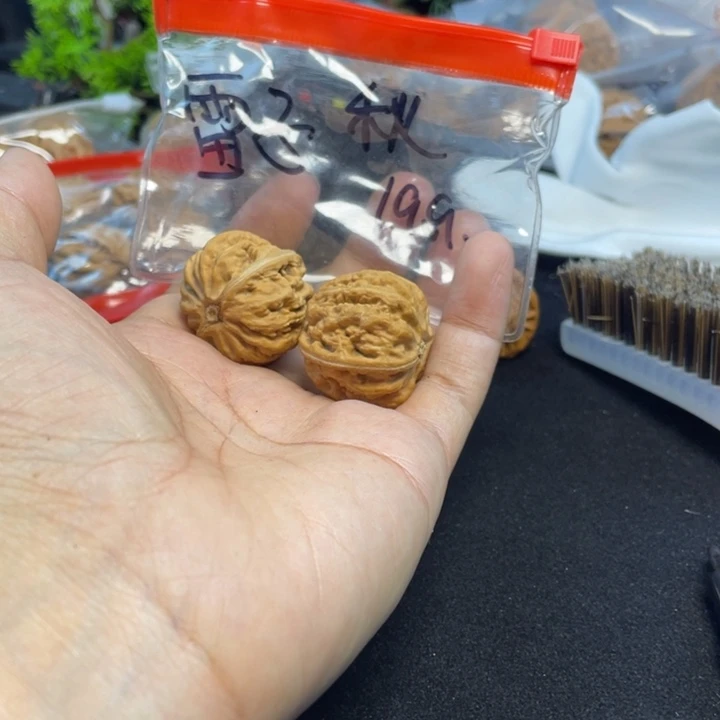 文玩核桃把件雷*丶秋子