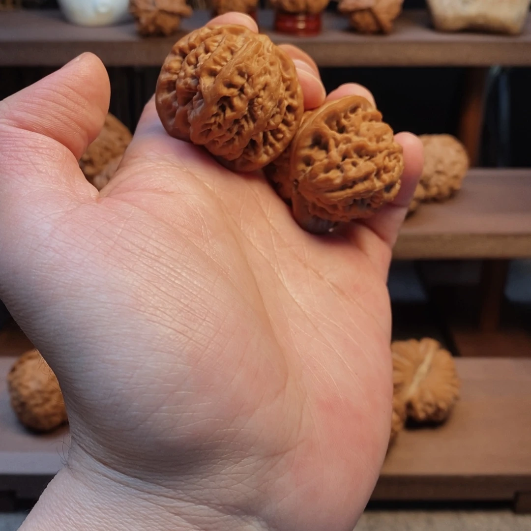 Z***g手串/手链核桃金公子