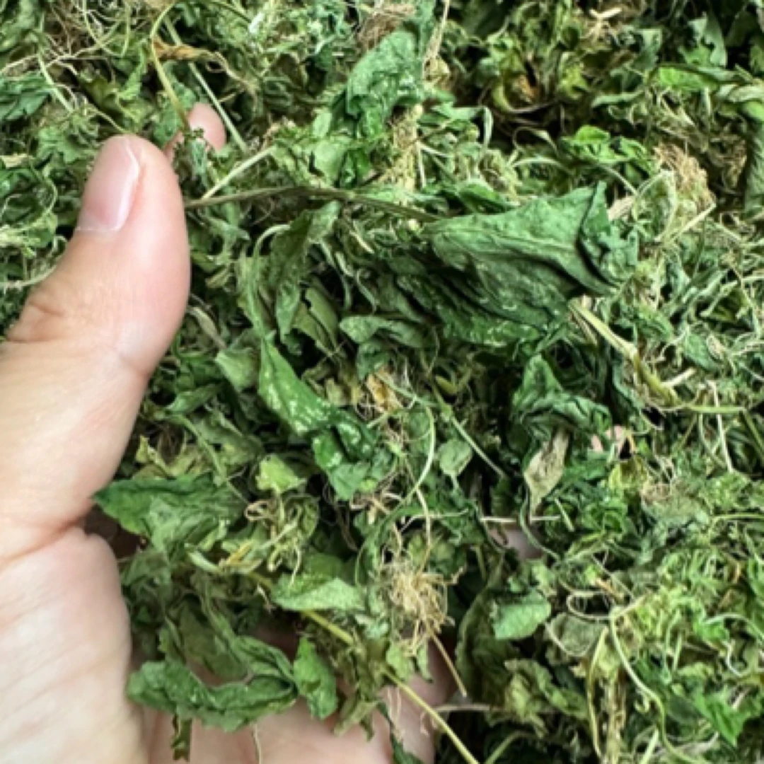 萌麦麦 高山秋哝白 夏枯草